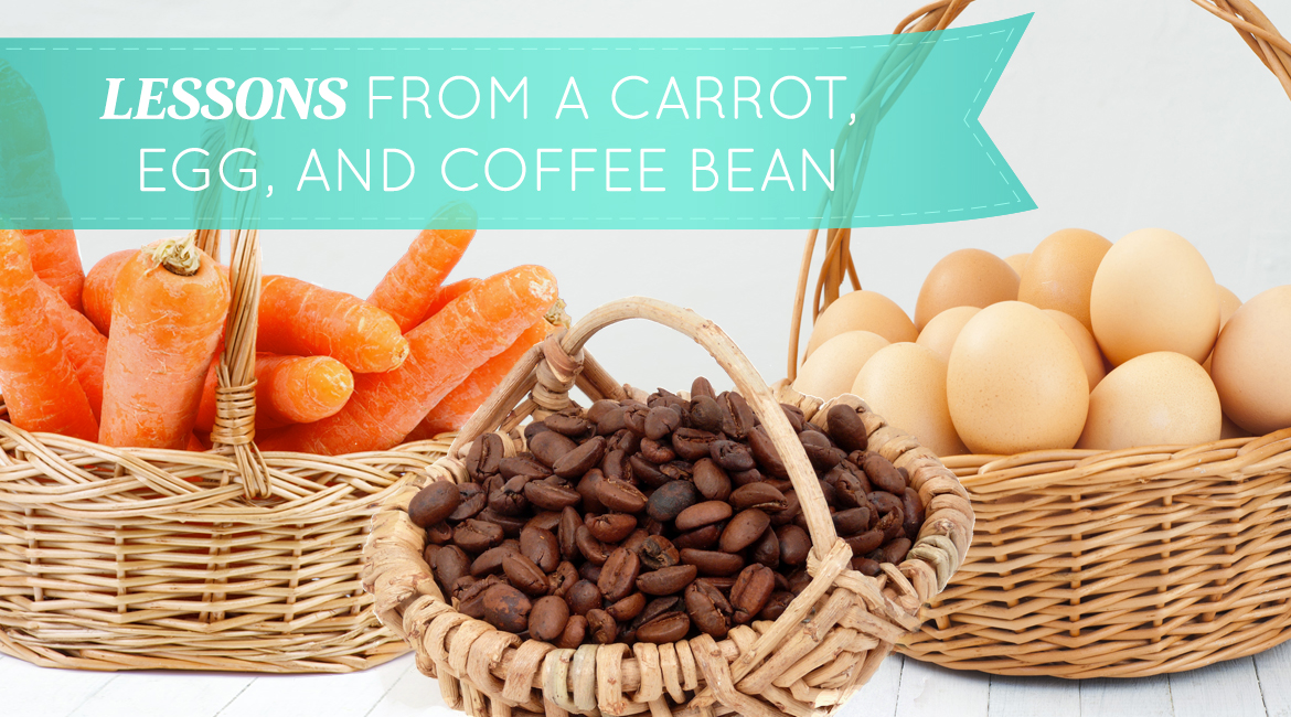 Lessons From A Carrot Egg And Coffee Bean