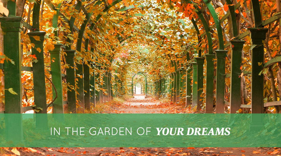 In The Garden Of Your Dreams
