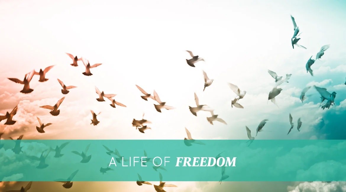 A Life Of Freedom